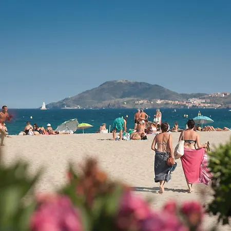 Hotel L'hotel Du Mediterranee Argeles-sur-Mer