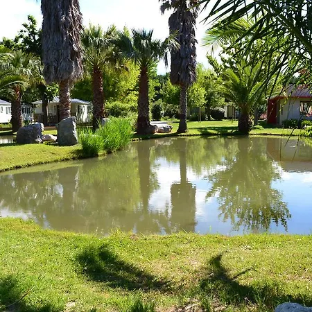 L'hôtel Du Méditerranée Hotel Argelès-sur-Mer