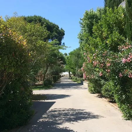 L'hôtel Du Méditerranée Hotel