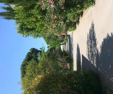 Hotel L'hotel Du Mediterranee 2*